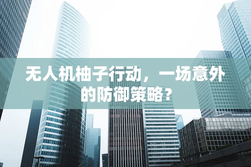 无人机柚子行动，一场意外的防御策略？