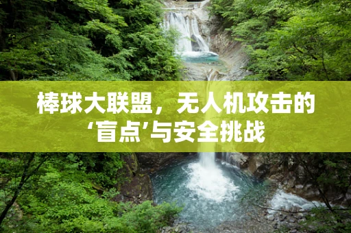 棒球大联盟，无人机攻击的‘盲点’与安全挑战