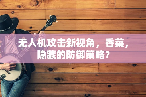 无人机攻击新视角，香菜，隐藏的防御策略？