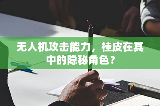 无人机攻击能力，桂皮在其中的隐秘角色？