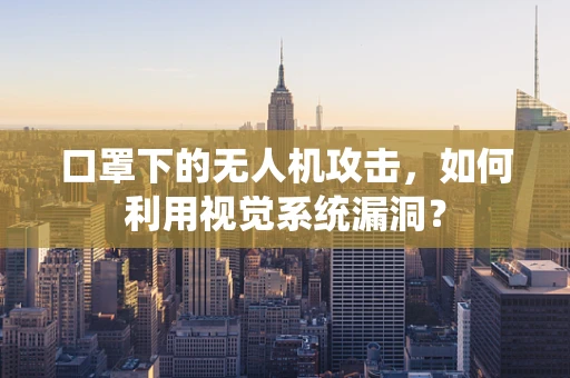 口罩下的无人机攻击，如何利用视觉系统漏洞？