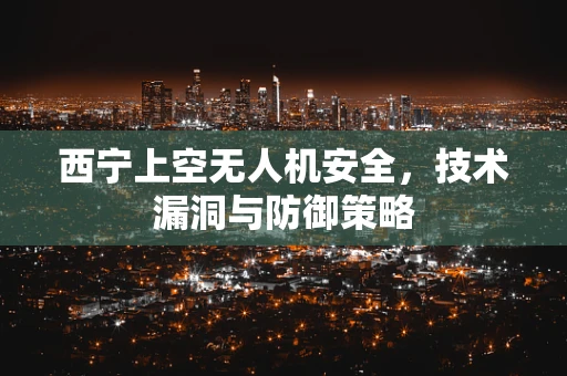 西宁上空无人机安全，技术漏洞与防御策略