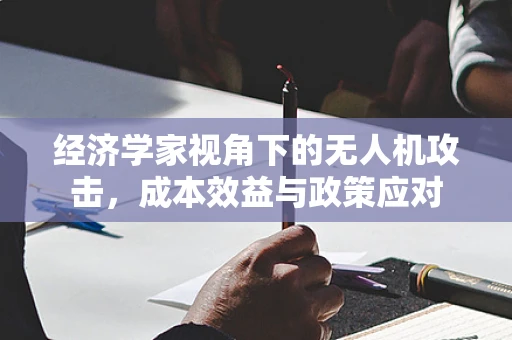 经济学家视角下的无人机攻击，成本效益与政策应对