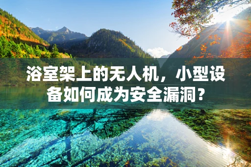 浴室架上的无人机，小型设备如何成为安全漏洞？
