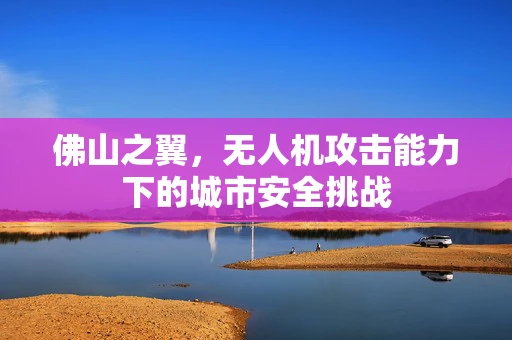 佛山之翼，无人机攻击能力下的城市安全挑战
