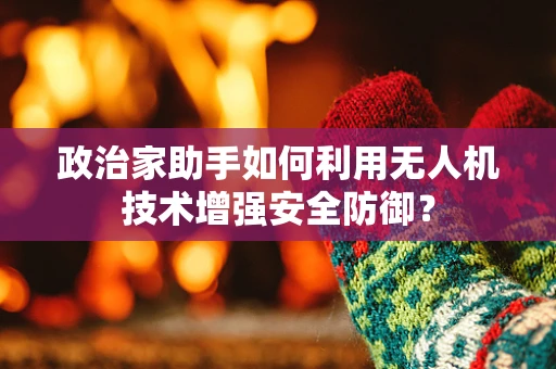 政治家助手如何利用无人机技术增强安全防御？