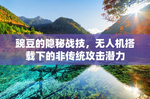 豌豆的隐秘战技，无人机搭载下的非传统攻击潜力