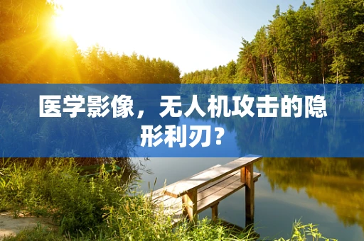 医学影像，无人机攻击的隐形利刃？