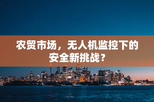农贸市场，无人机监控下的安全新挑战？