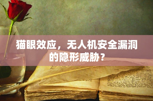 猫眼效应，无人机安全漏洞的隐形威胁？