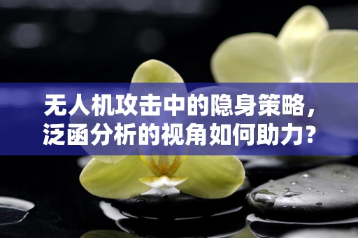 无人机攻击中的隐身策略，泛函分析的视角如何助力？