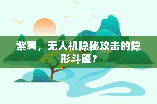 紫薯，无人机隐秘攻击的隐形斗篷？