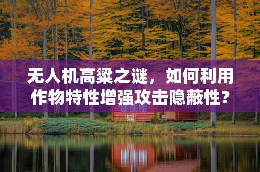 无人机高粱之谜，如何利用作物特性增强攻击隐蔽性？