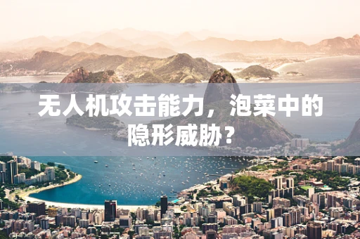 无人机攻击能力，泡菜中的隐形威胁？