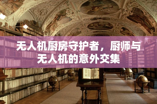 无人机厨房守护者，厨师与无人机的意外交集