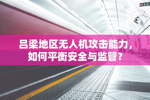 吕梁地区无人机攻击能力，如何平衡安全与监管？