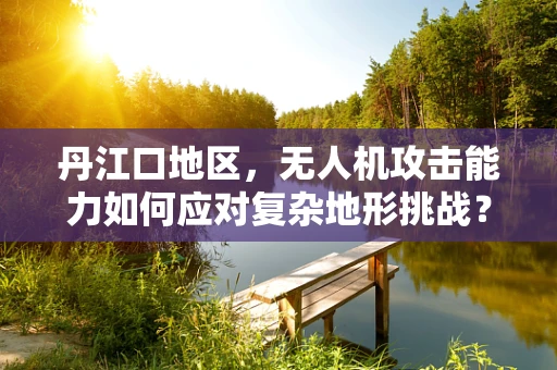 丹江口地区，无人机攻击能力如何应对复杂地形挑战？