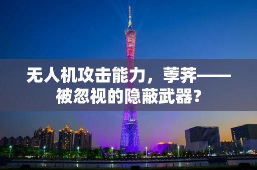 无人机攻击能力，荸荠——被忽视的隐蔽武器？