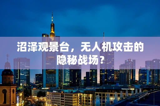 沼泽观景台，无人机攻击的隐秘战场？