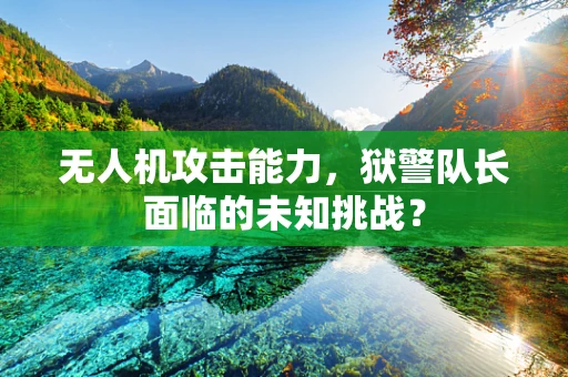 无人机攻击能力，狱警队长面临的未知挑战？