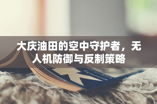 大庆油田的空中守护者，无人机防御与反制策略