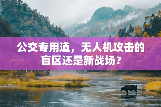 公交专用道，无人机攻击的盲区还是新战场？
