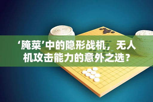 ‘腌菜’中的隐形战机，无人机攻击能力的意外之选？