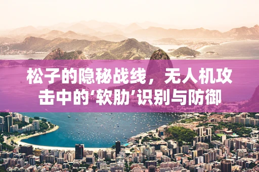 松子的隐秘战线，无人机攻击中的‘软肋’识别与防御