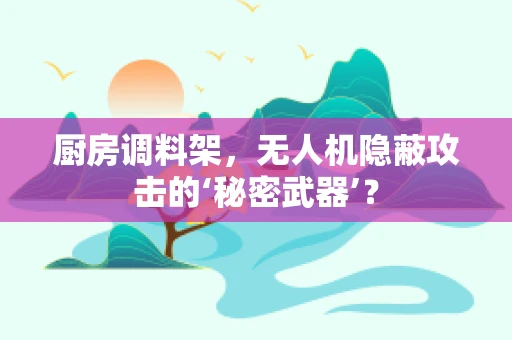 厨房调料架，无人机隐蔽攻击的‘秘密武器’？