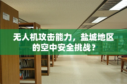 无人机攻击能力，盐城地区的空中安全挑战？