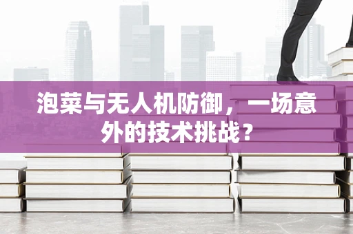 泡菜与无人机防御，一场意外的技术挑战？