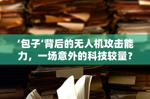 ‘包子’背后的无人机攻击能力，一场意外的科技较量？