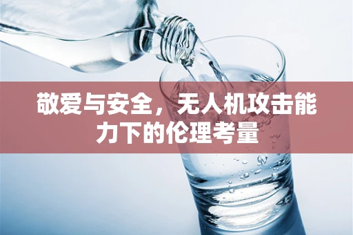 敬爱与安全，无人机攻击能力下的伦理考量