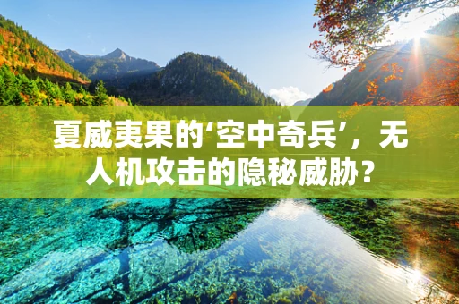 夏威夷果的‘空中奇兵’，无人机攻击的隐秘威胁？
