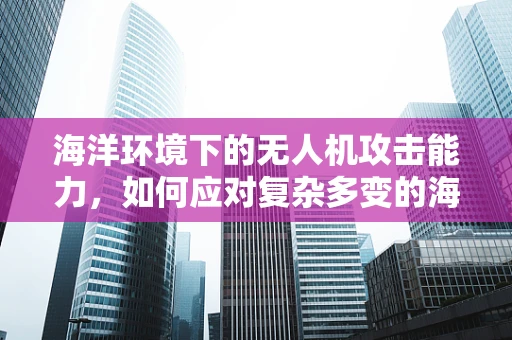 海洋环境下的无人机攻击能力，如何应对复杂多变的海洋挑战？