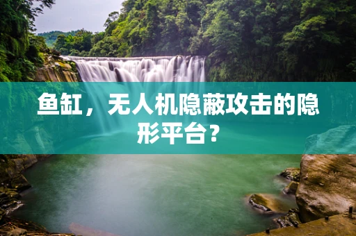 鱼缸，无人机隐蔽攻击的隐形平台？