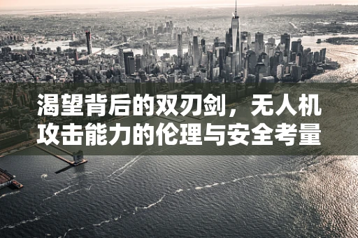 渴望背后的双刃剑，无人机攻击能力的伦理与安全考量