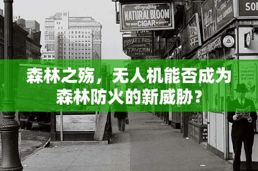 森林之殇，无人机能否成为森林防火的新威胁？