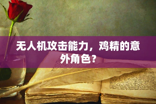 无人机攻击能力，鸡精的意外角色？