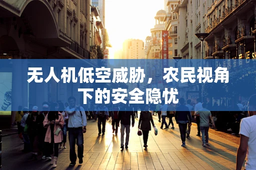 无人机低空威胁，农民视角下的安全隐忧