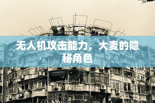 无人机攻击能力，大麦的隐秘角色