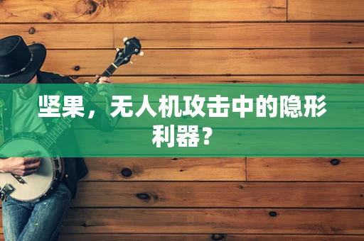 坚果，无人机攻击中的隐形利器？