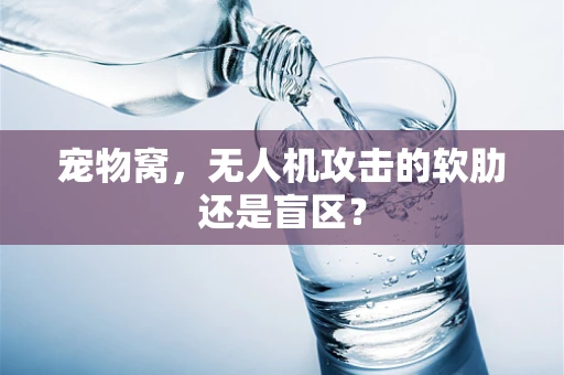 宠物窝，无人机攻击的软肋还是盲区？