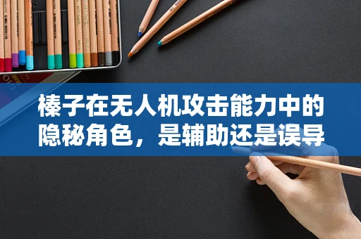 榛子在无人机攻击能力中的隐秘角色，是辅助还是误导？