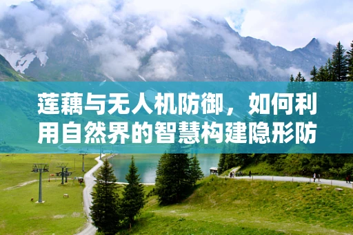 莲藕与无人机防御，如何利用自然界的智慧构建隐形防线？