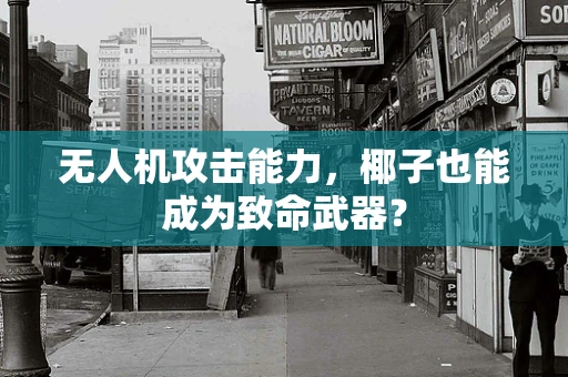 无人机攻击能力，椰子也能成为致命武器？