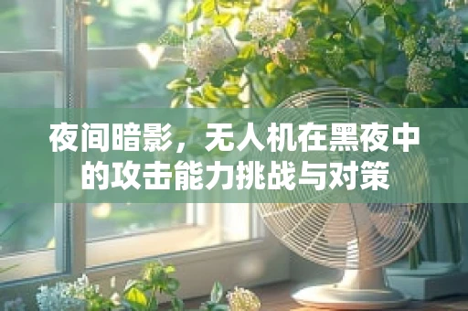 夜间暗影，无人机在黑夜中的攻击能力挑战与对策