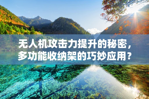 无人机攻击力提升的秘密，多功能收纳架的巧妙应用？
