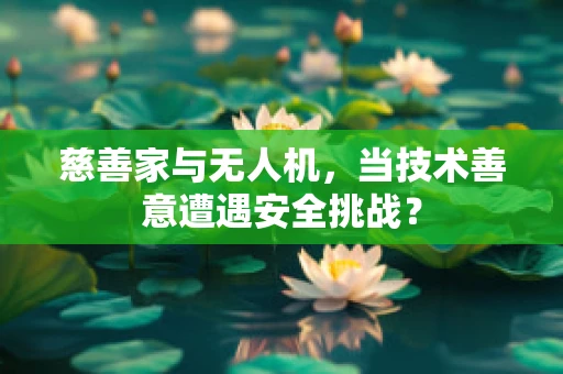 慈善家与无人机，当技术善意遭遇安全挑战？