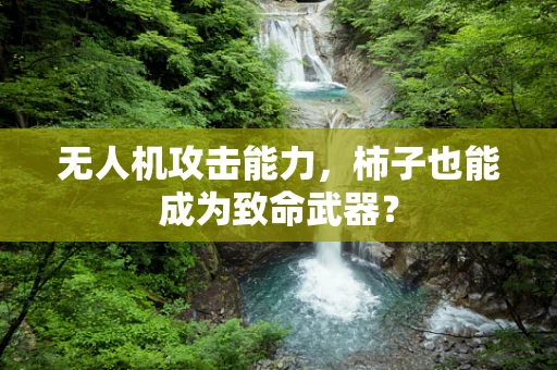 无人机攻击能力，柿子也能成为致命武器？